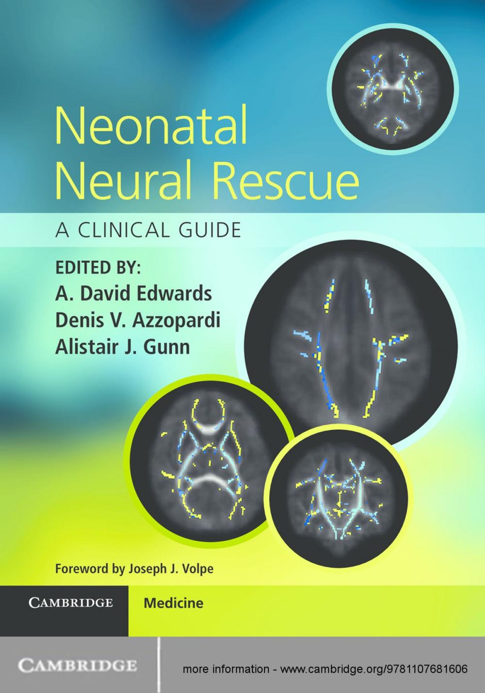 Big bigCover of Neonatal Neural Rescue