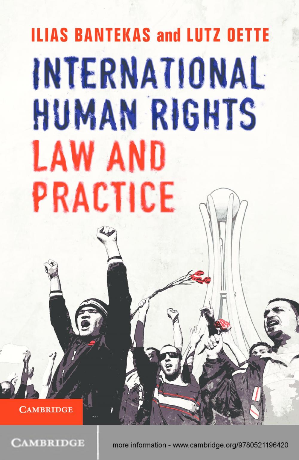 Big bigCover of International Human Rights Law and Practice