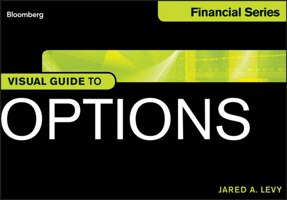 Big bigCover of Visual Guide to Options