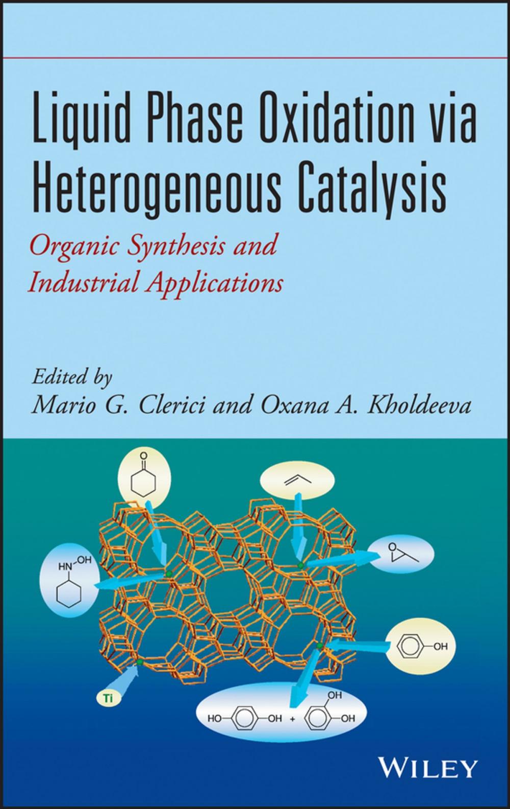 Big bigCover of Liquid Phase Oxidation via Heterogeneous Catalysis