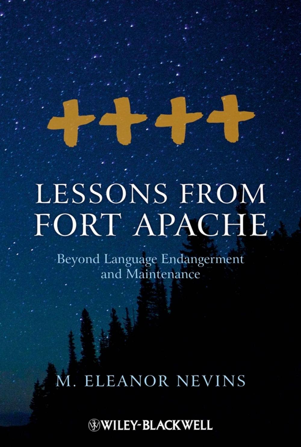 Big bigCover of Lessons from Fort Apache