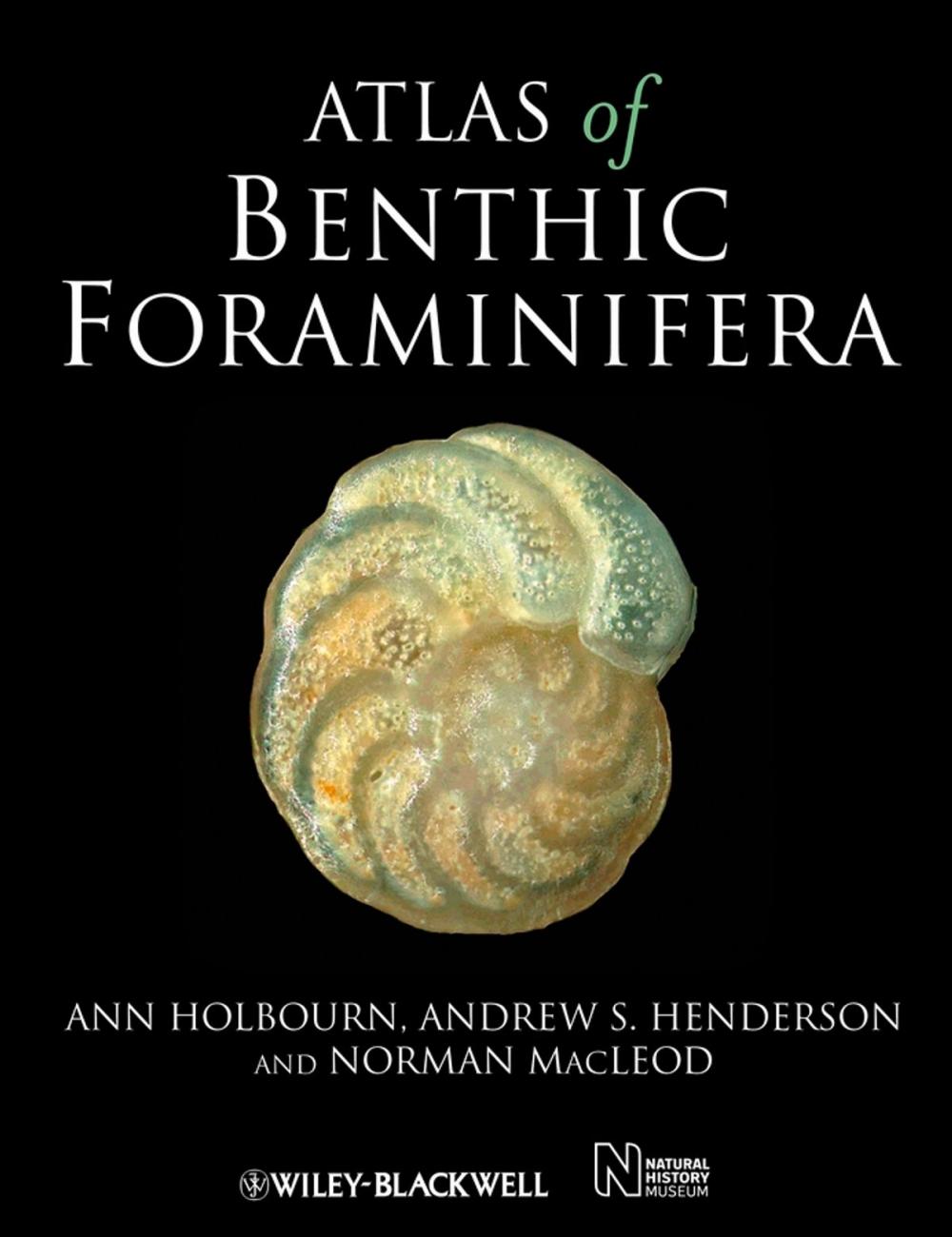 Big bigCover of Atlas of Benthic Foraminifera