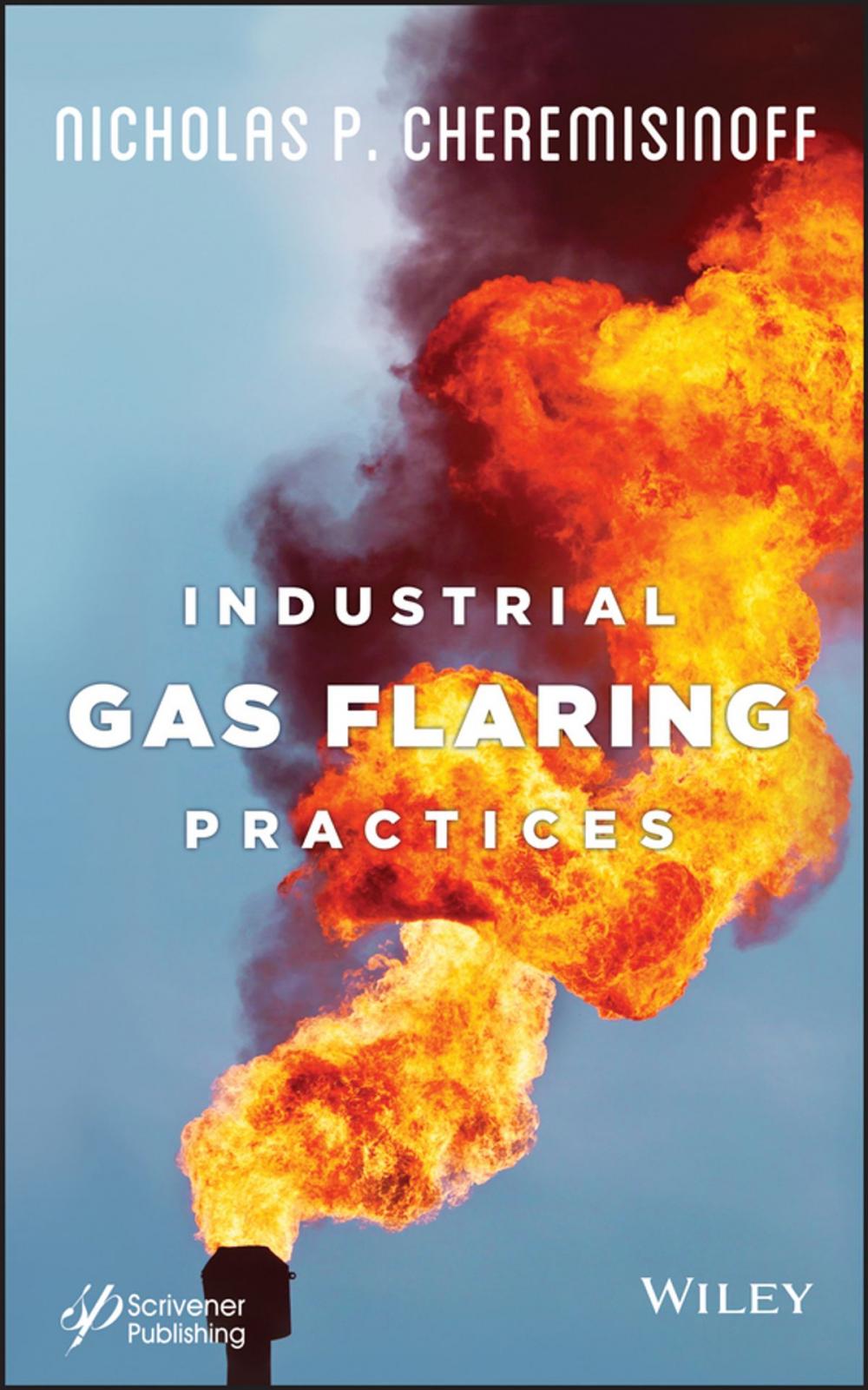 Big bigCover of Industrial Gas Flaring Practices