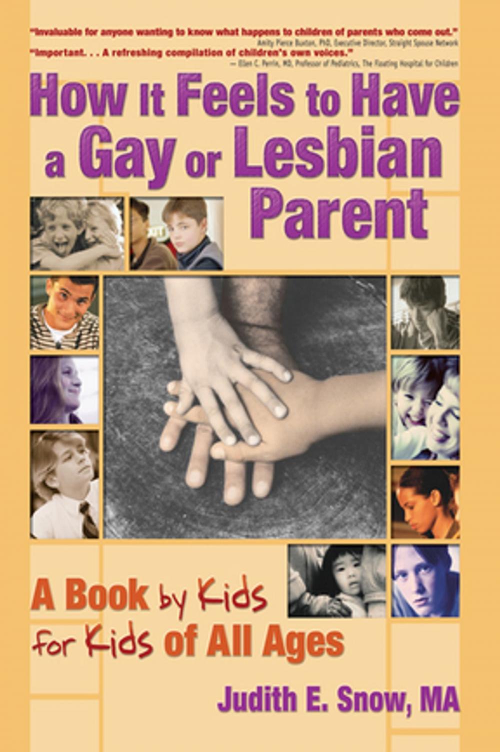 Big bigCover of How It Feels to Have a Gay or Lesbian Parent