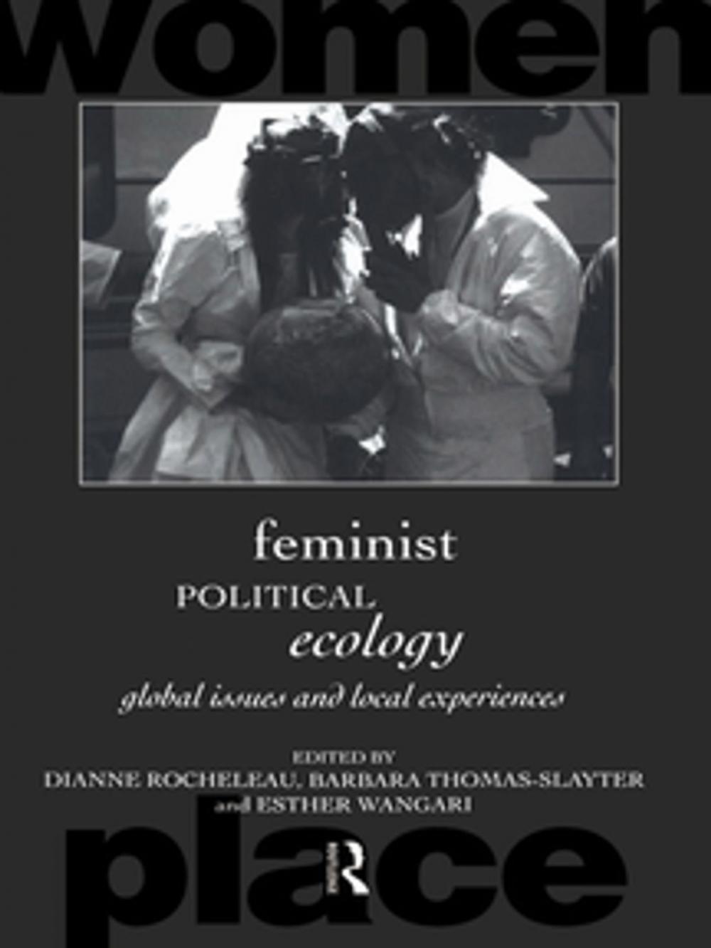 Big bigCover of Feminist Political Ecology