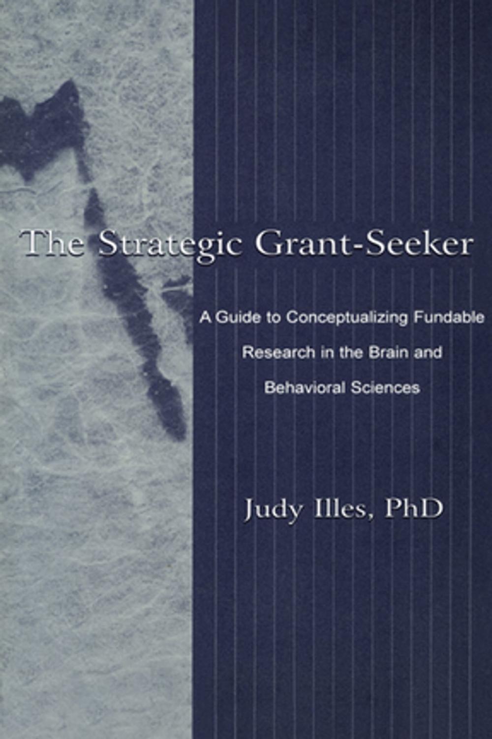 Big bigCover of The Strategic Grant-seeker