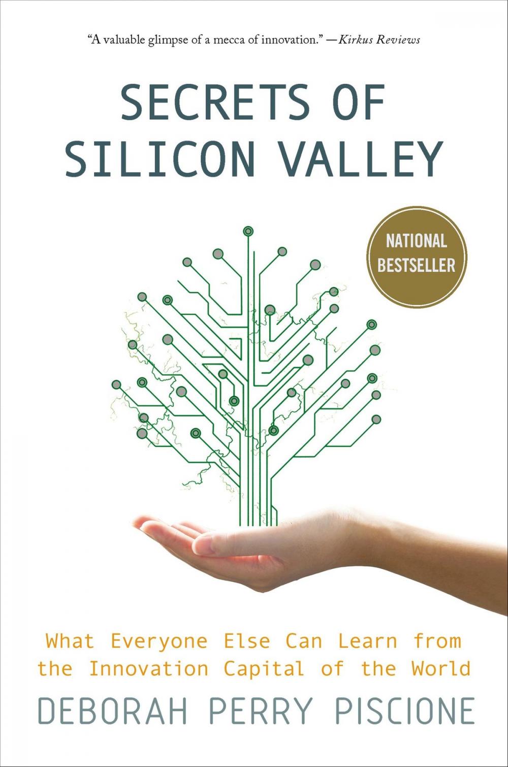 Big bigCover of Secrets of Silicon Valley