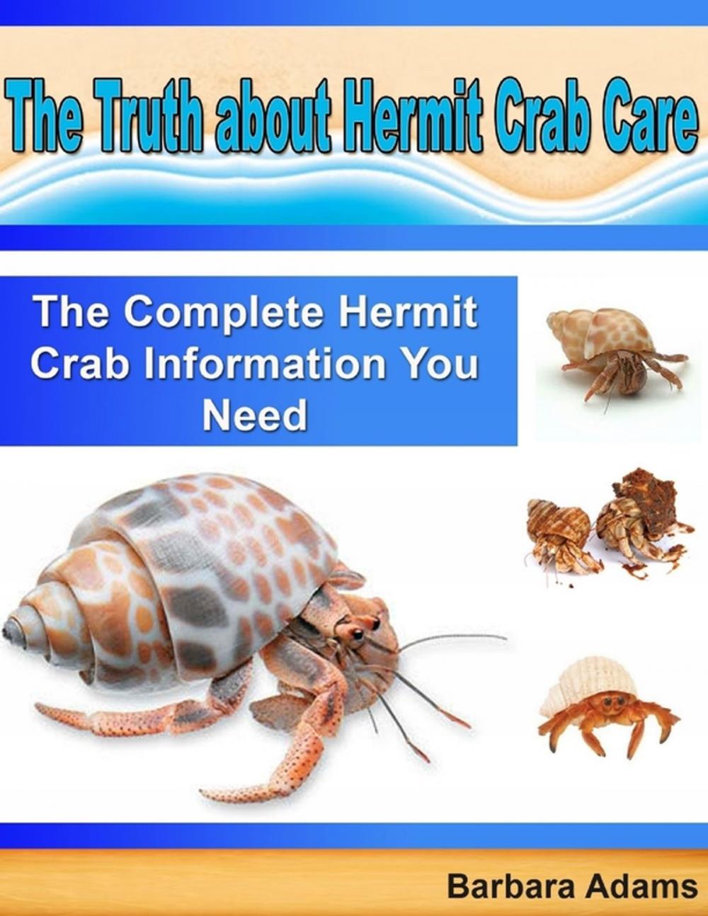 Big bigCover of The Truth About Hermit Crab Care: The Complete Hermit Crab Information You Need