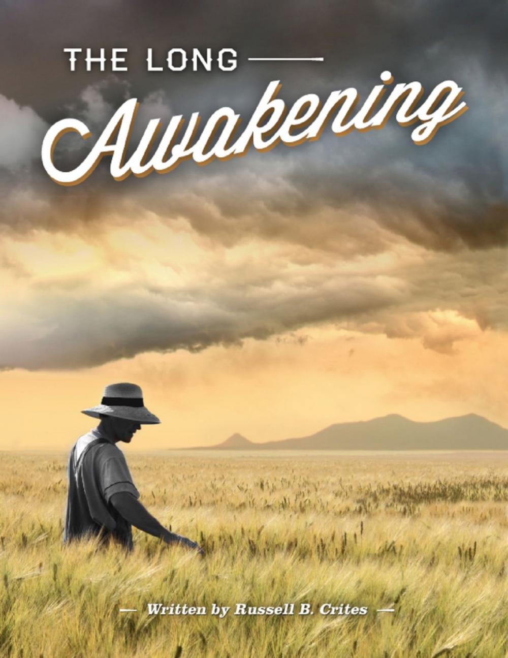 Big bigCover of The Long Awakening