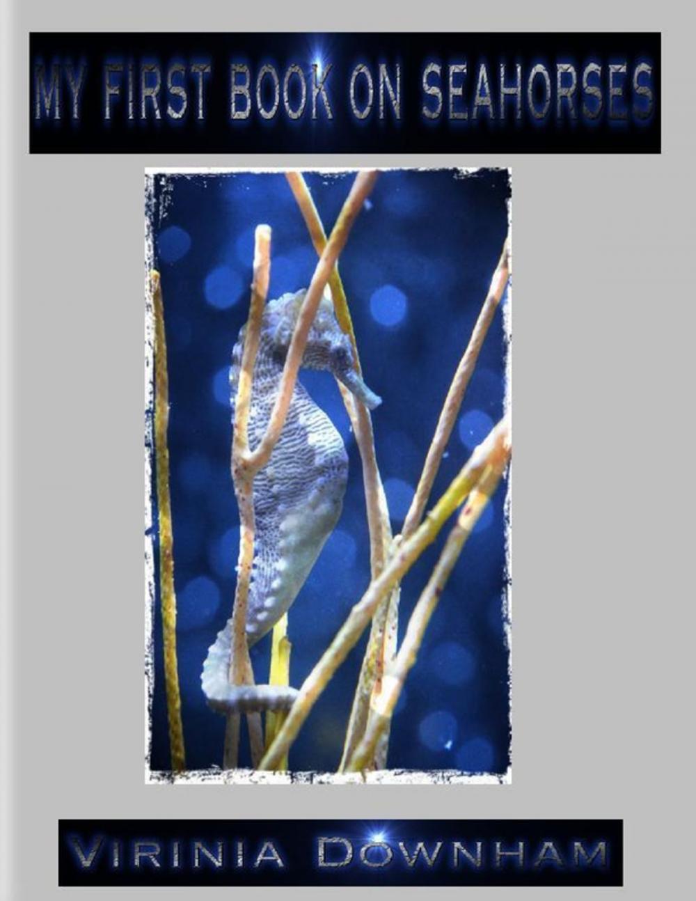 Big bigCover of My First Book on Seahorses