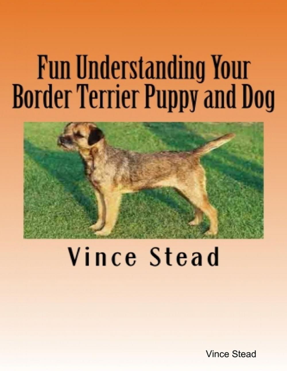 Big bigCover of Fun Understanding Your Border Terrier Puppy and Dog