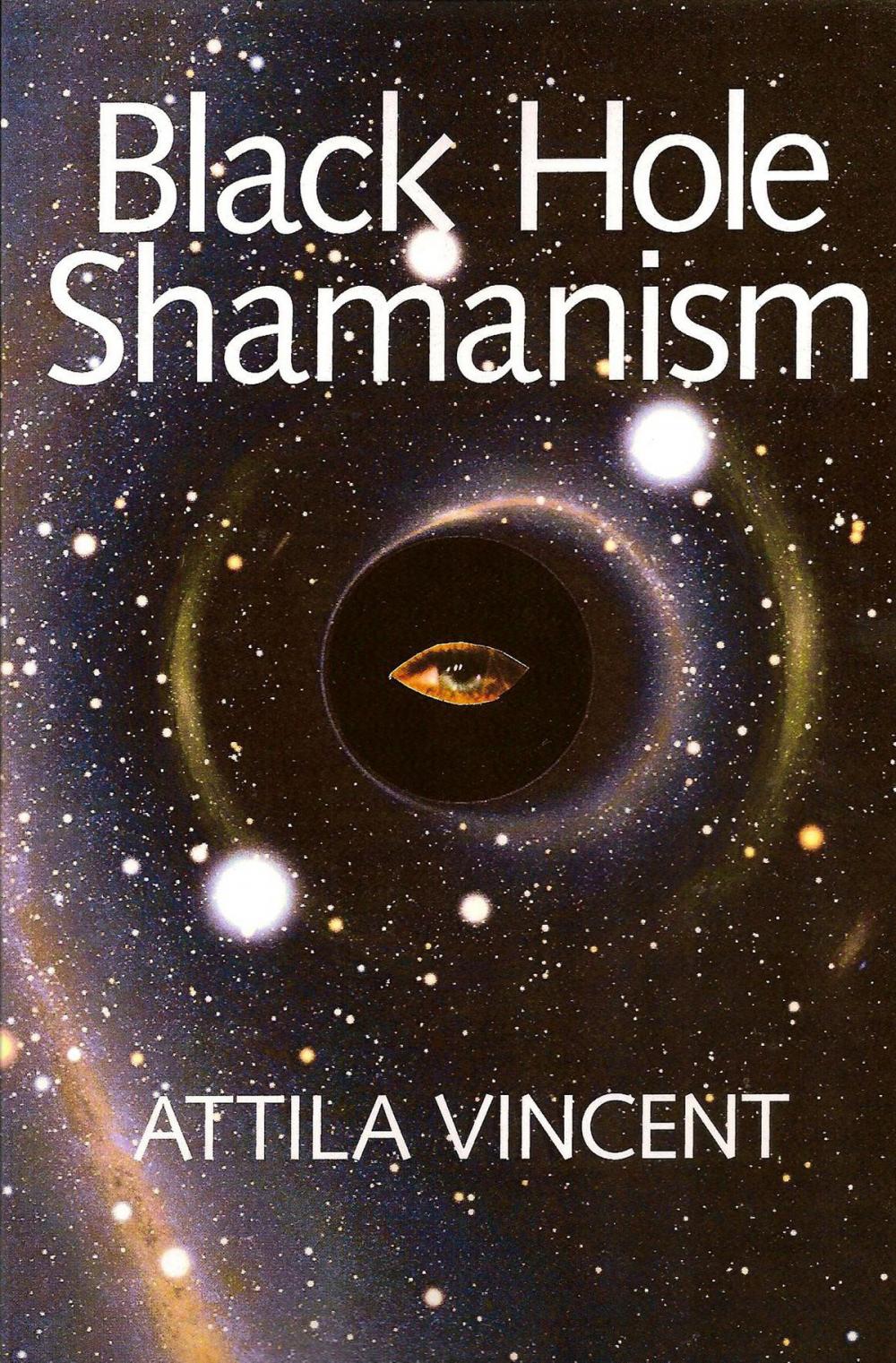 Big bigCover of Black Hole Shamanism