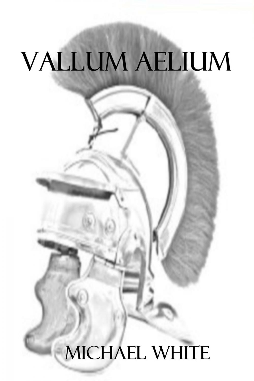 Big bigCover of Vallum Aelium