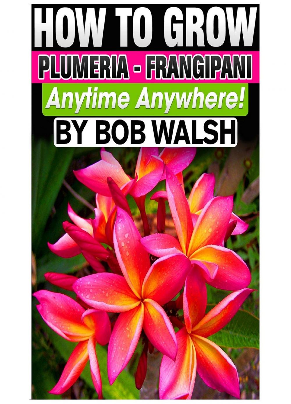 Big bigCover of How To Grow Plumeria: Frangipani Anytime Anywhere!