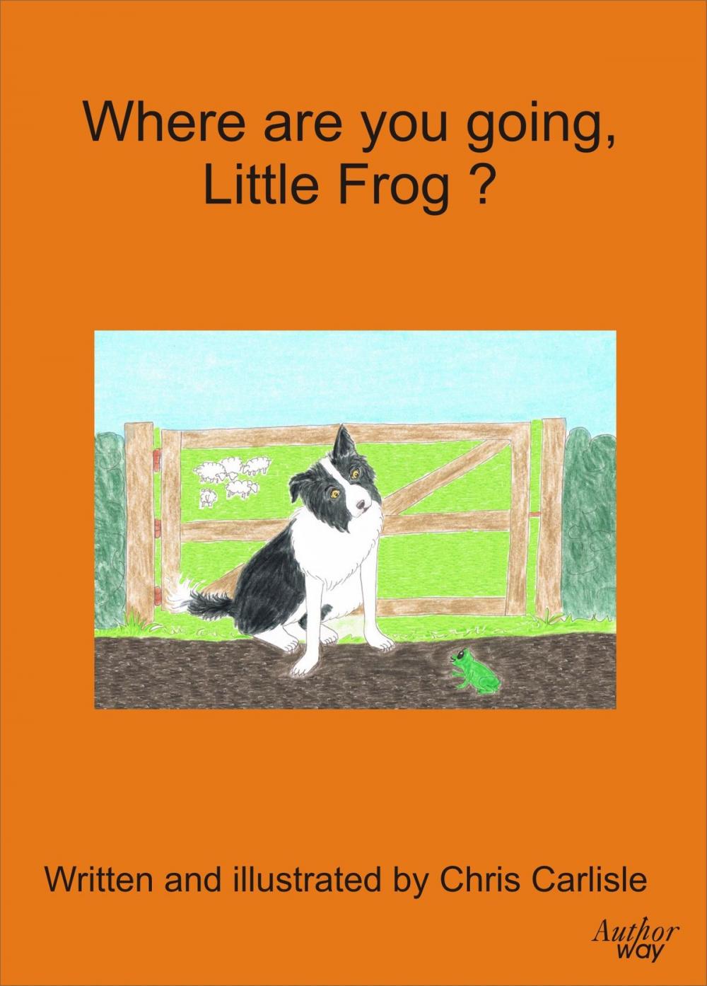 Big bigCover of Where Are You Going Little Frog?