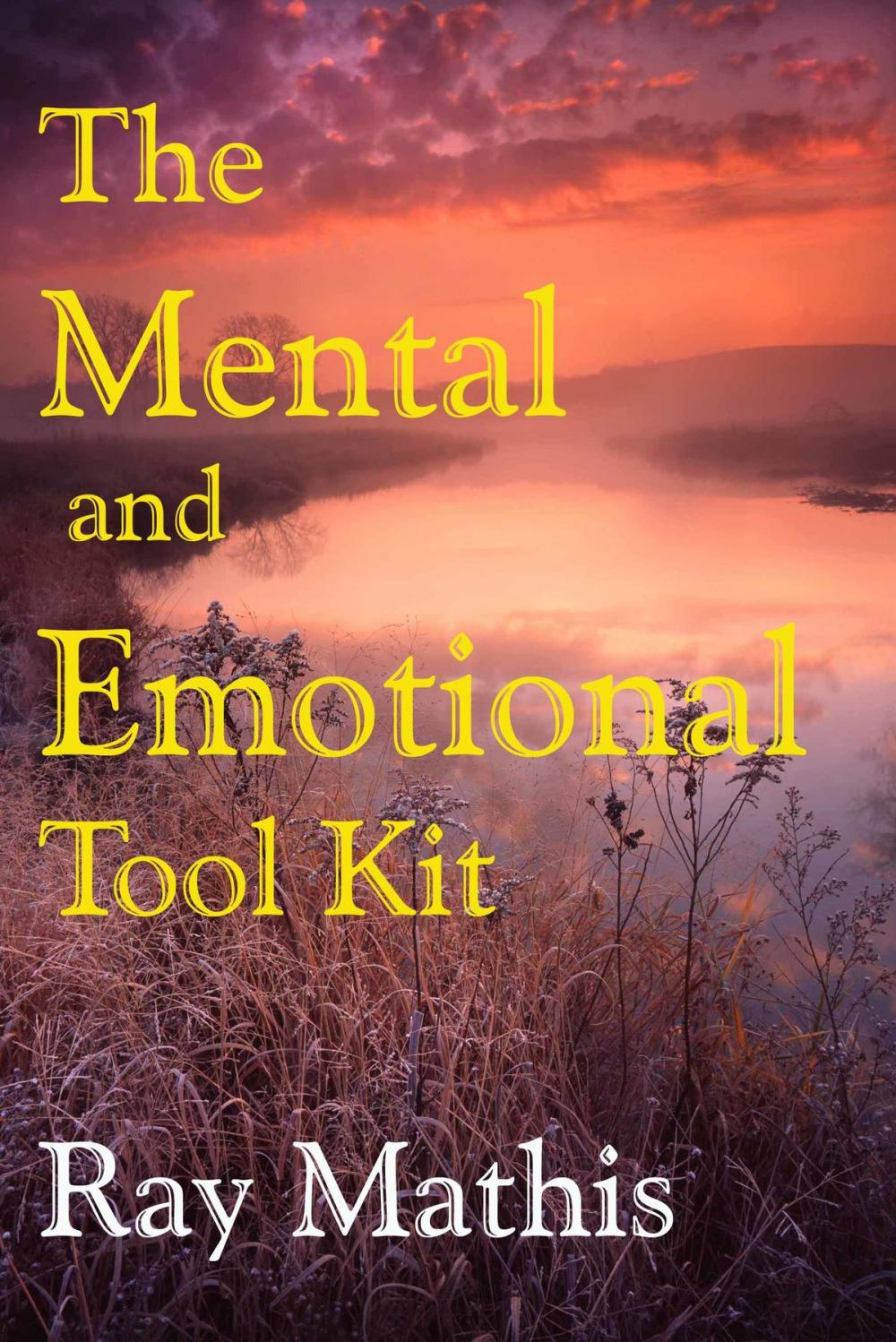 Big bigCover of The Mental and Emotional Tool Kit