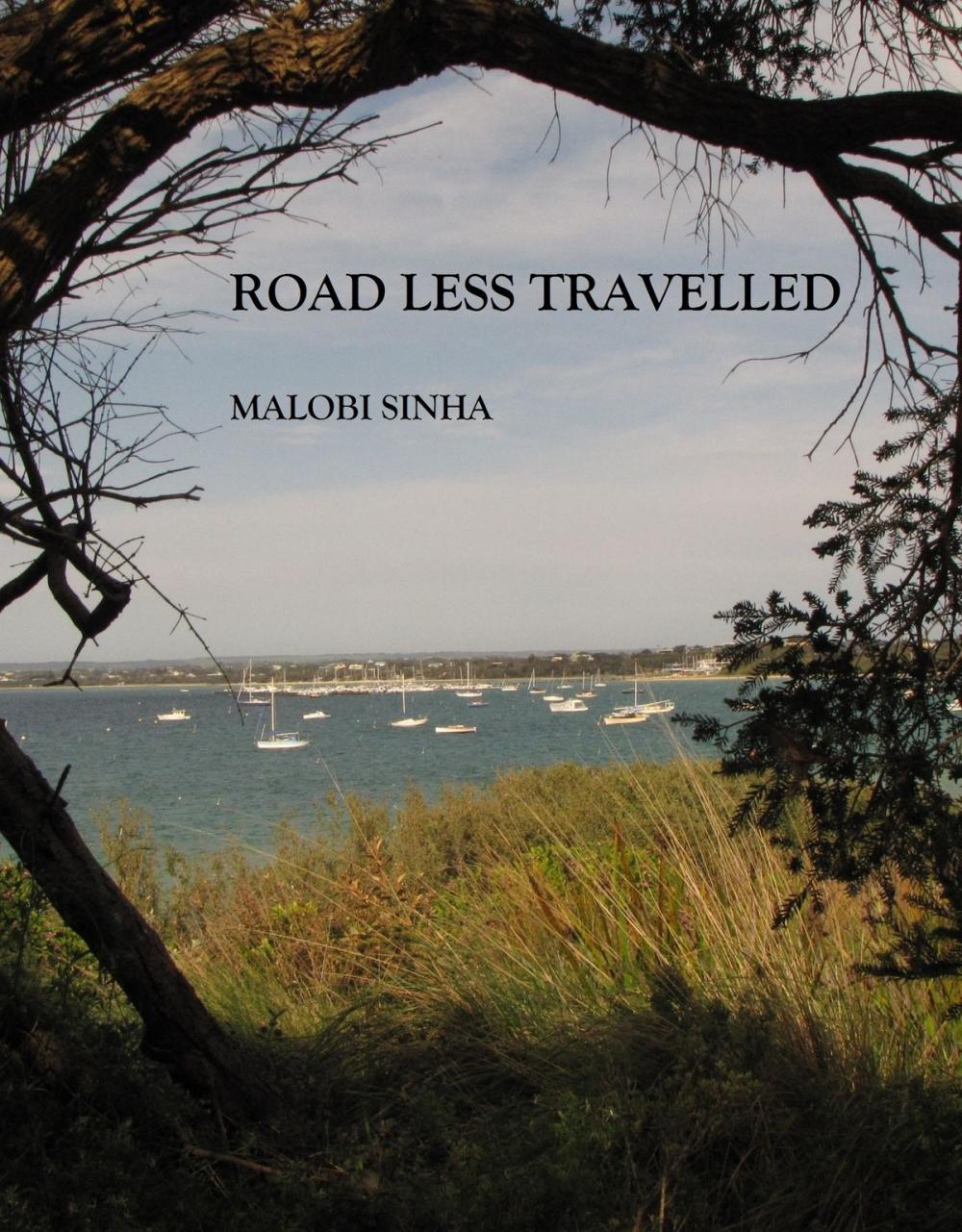 Big bigCover of Road Less Travelled