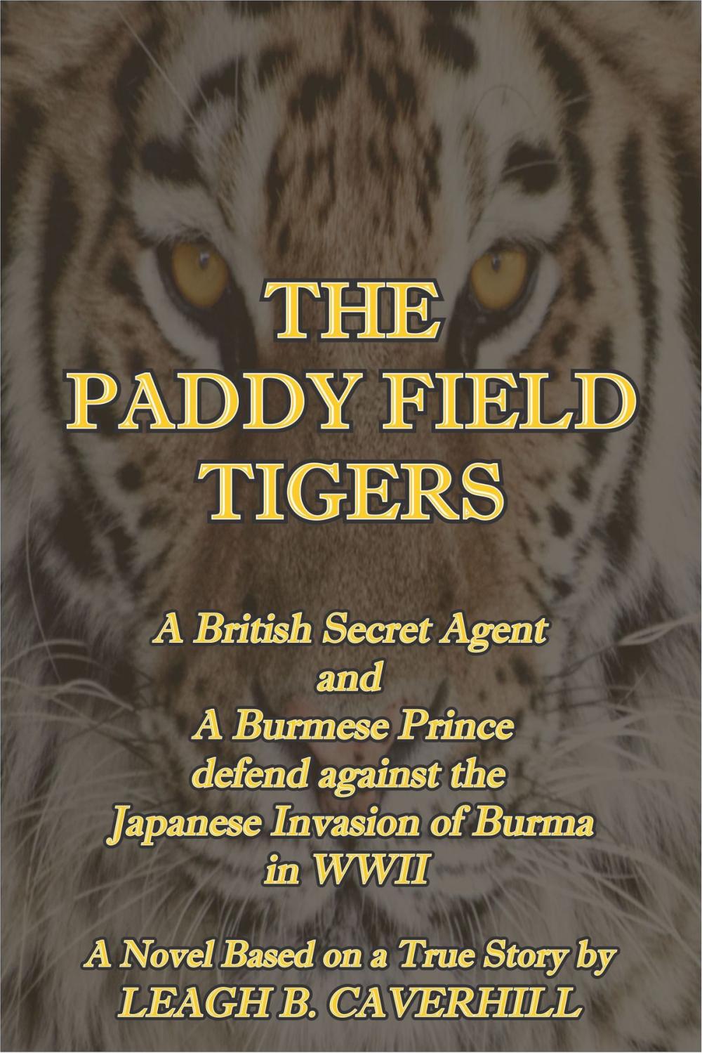 Big bigCover of The Paddy Field Tigers