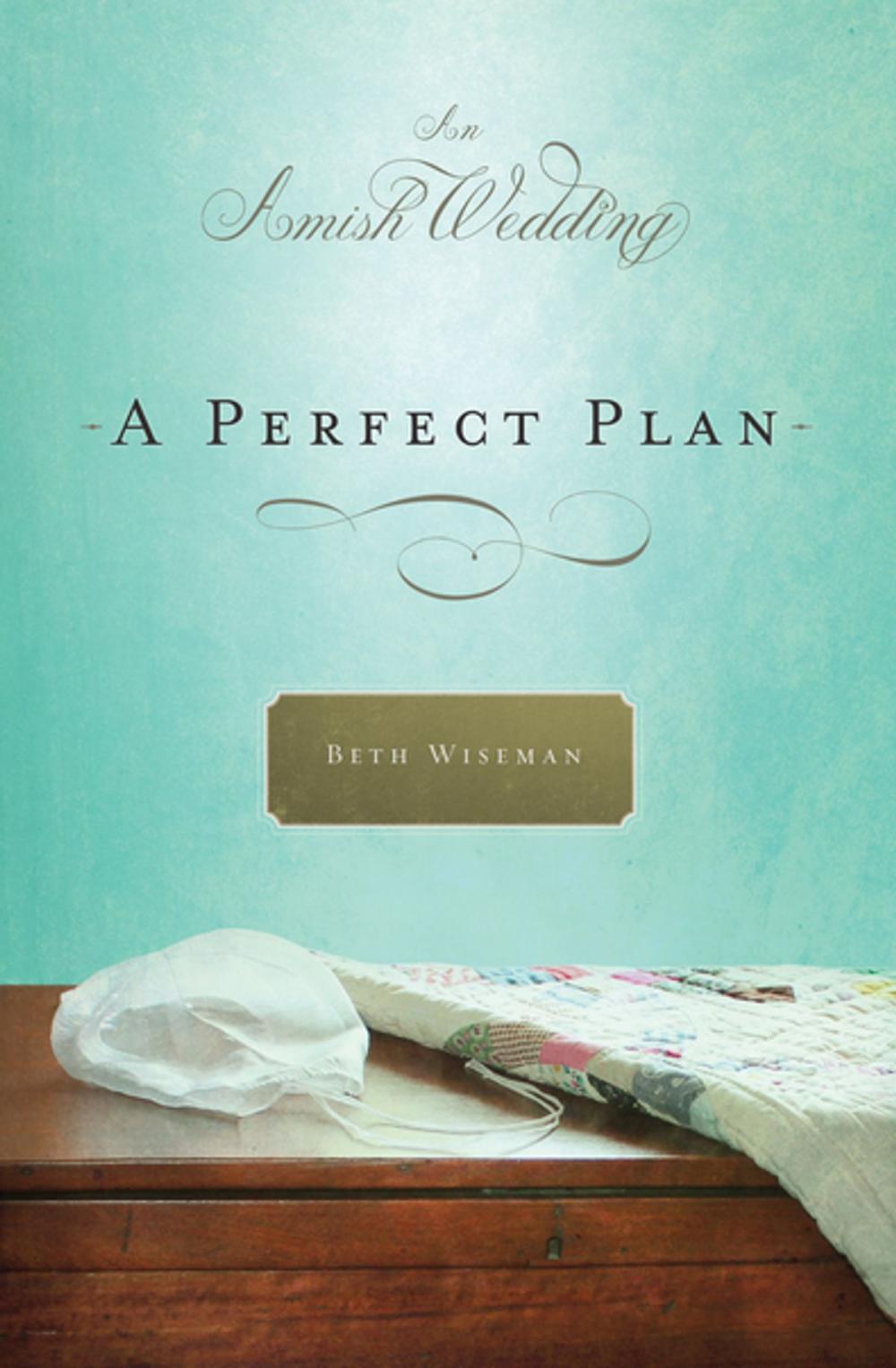 Big bigCover of A Perfect Plan