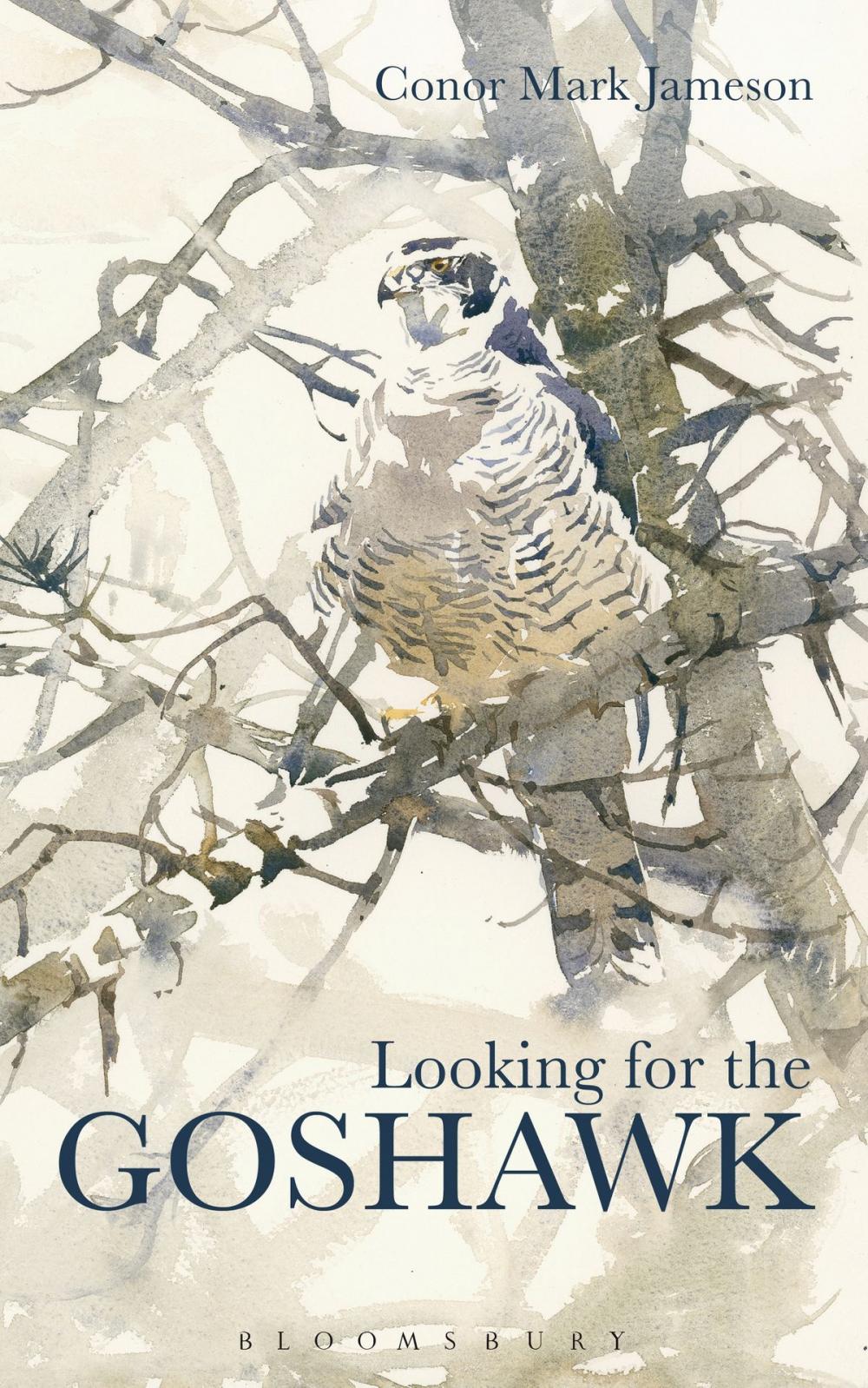 Big bigCover of Looking for the Goshawk