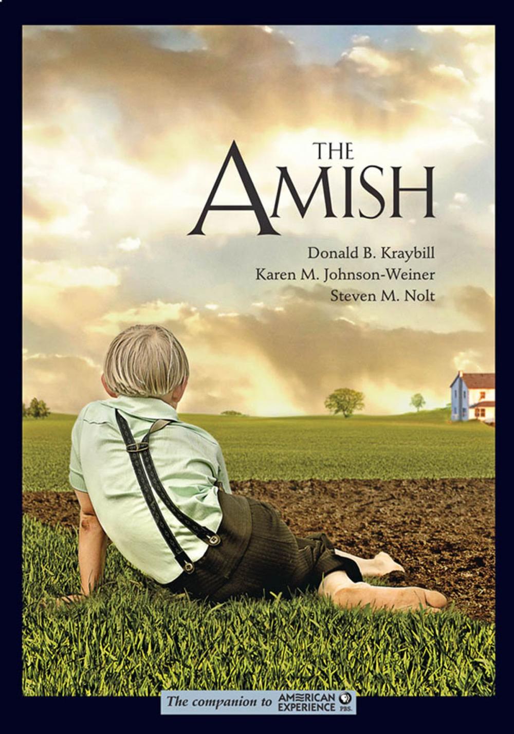 Big bigCover of The Amish