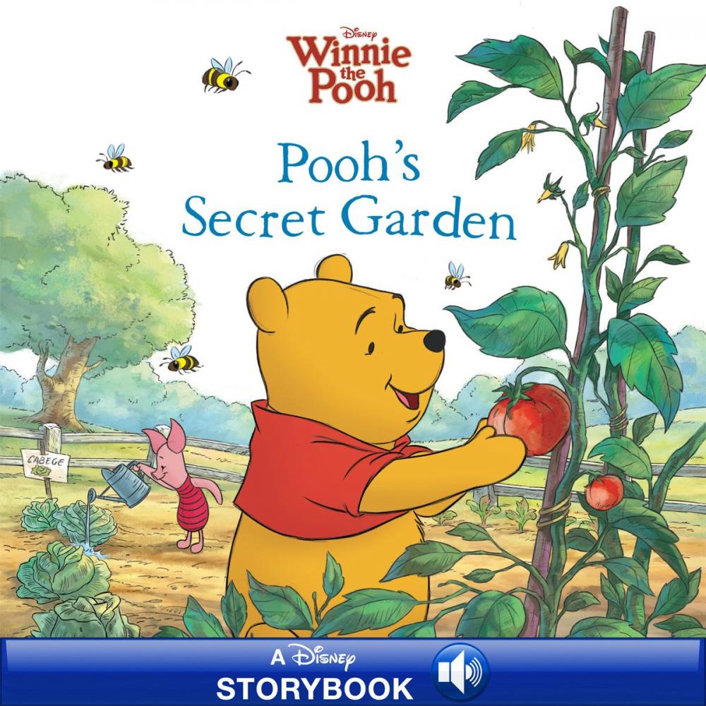 Big bigCover of Winnie the Pooh: Pooh's Secret Garden