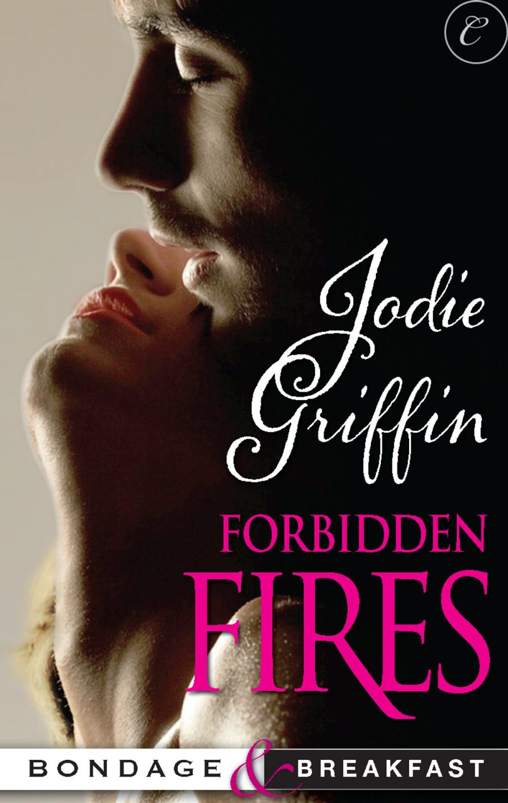 Big bigCover of Forbidden Fires