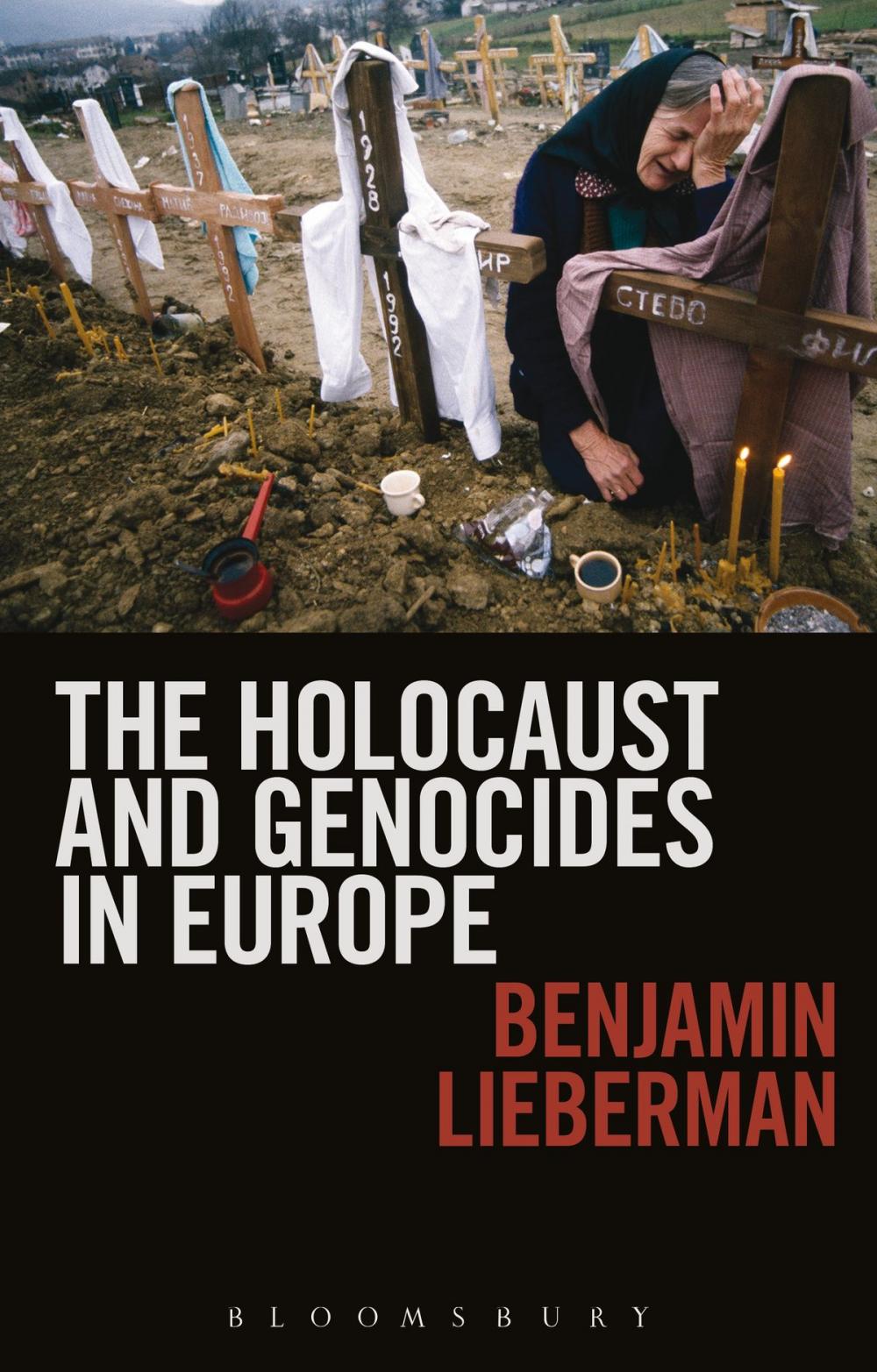 Big bigCover of The Holocaust and Genocides in Europe