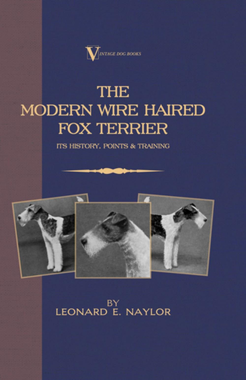 Big bigCover of The Modern Wire Haired Fox Terrier - Its History, Points & Training (A Vintage Dog Books Breed Classic)