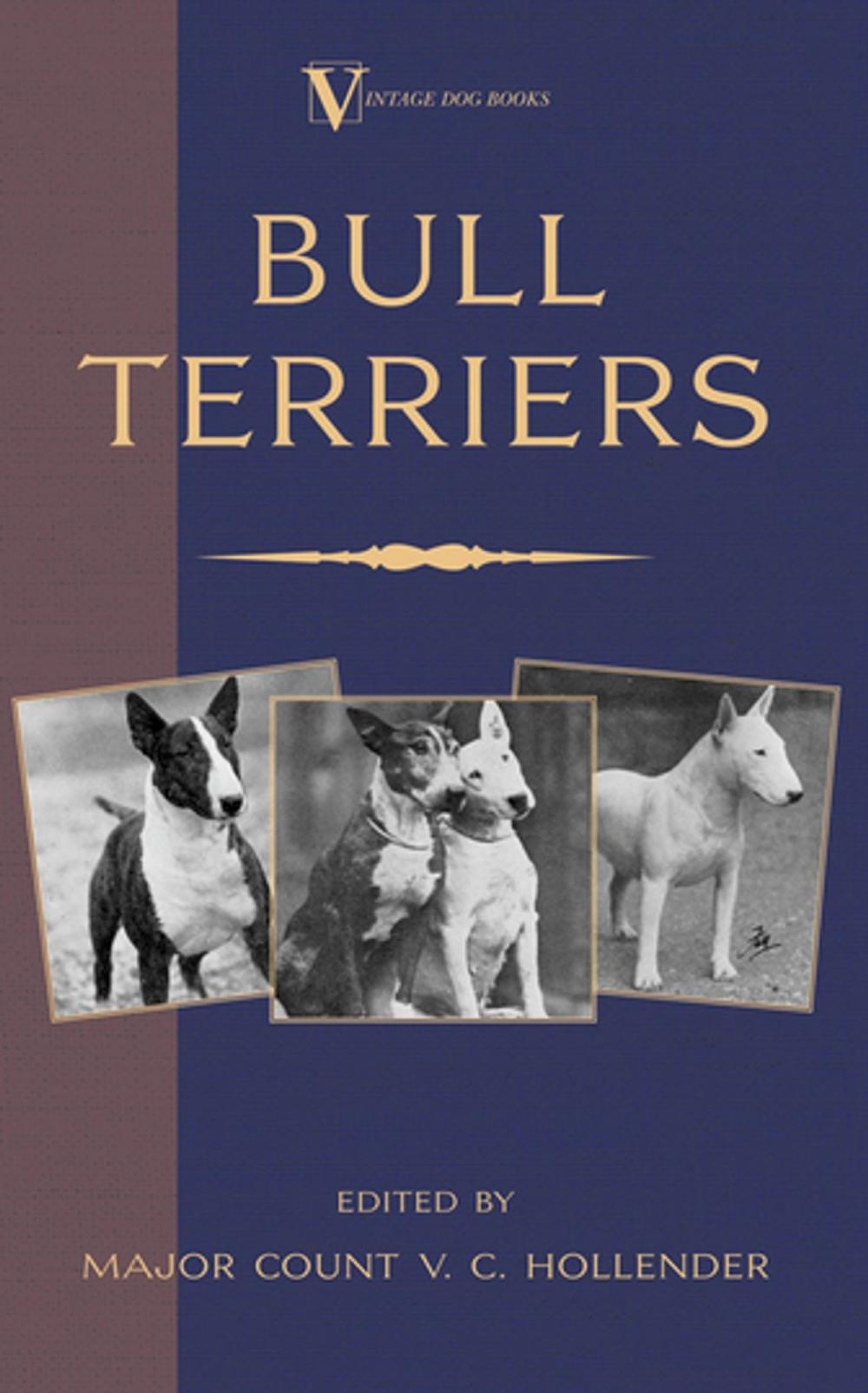 Big bigCover of Bull Terriers (A Vintage Dog Books Breed Classic - Bull Terrier)