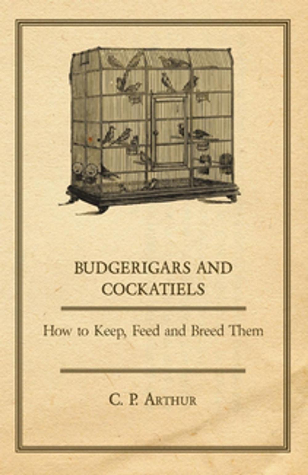 Big bigCover of Budgerigars and Cockatiels - How to Keep, Feed and Breed Them