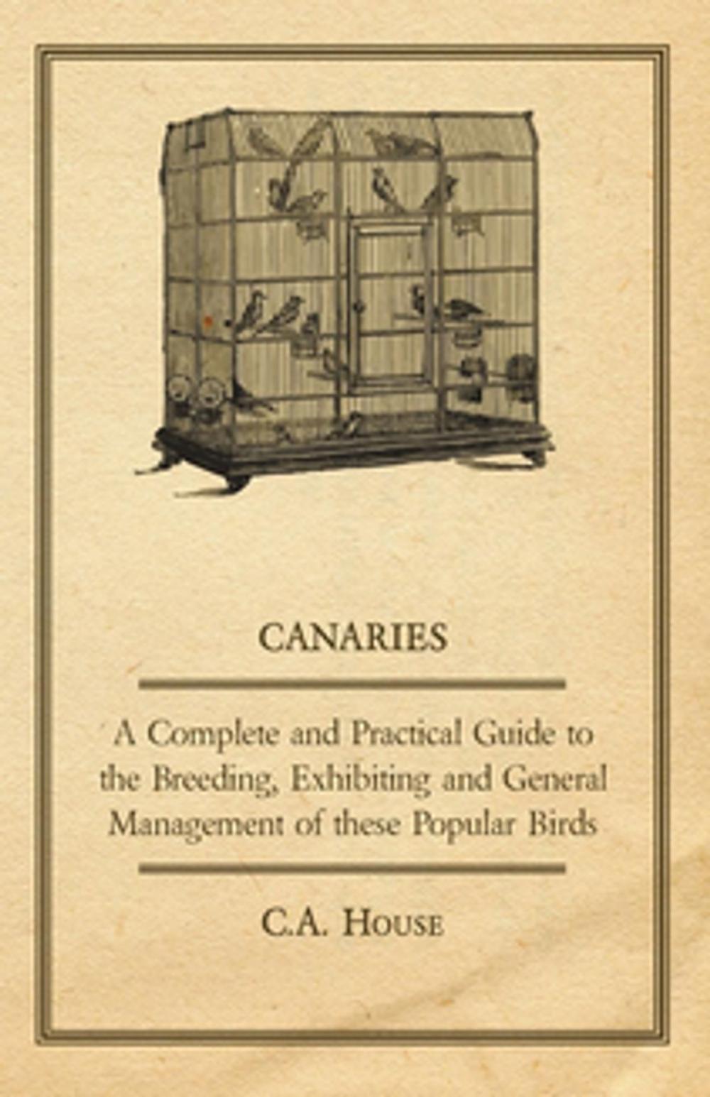 Big bigCover of Canaries - A Complete and Practical Guide to the Breeding, Exhibiting and General Management of These Popular Birds