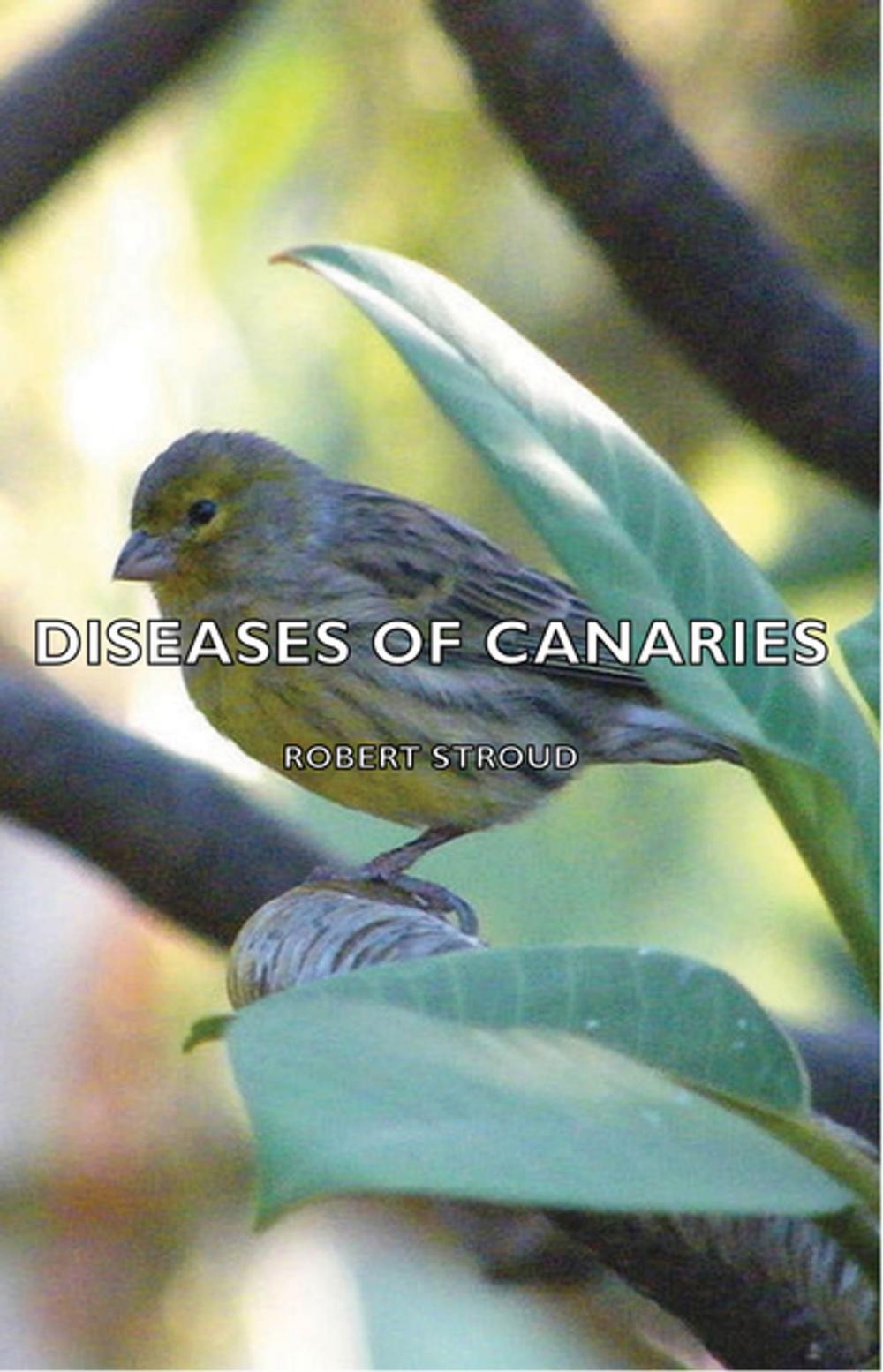 Big bigCover of Diseases of Canaries