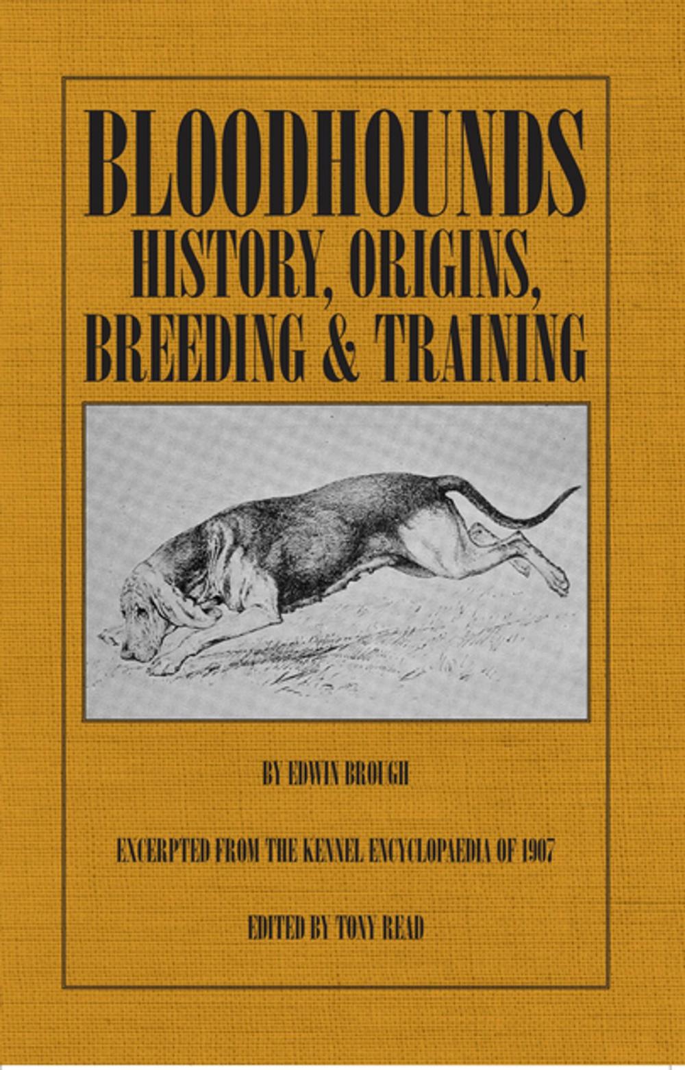 Big bigCover of Bloodhounds: History - Origins - Breeding - Training