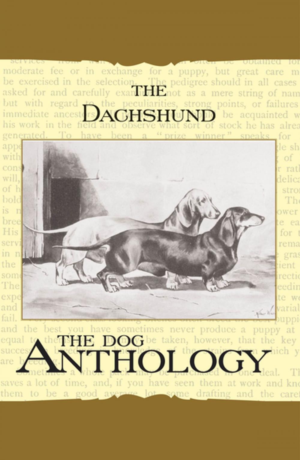 Big bigCover of The Daschund - A Dog Anthology (A Vintage Dog Books Breed Classic)