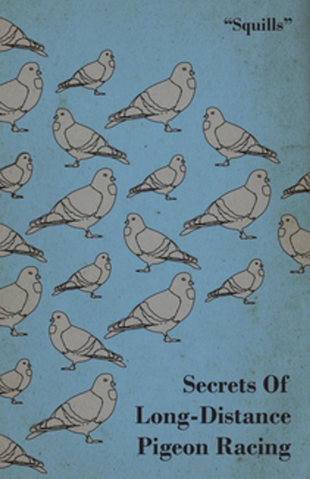 Big bigCover of Secrets of Long-Distance Pigeon Racing