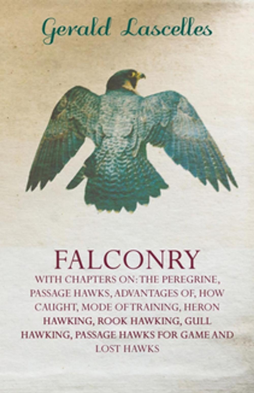 Big bigCover of Falconry - With Chapters on: The Peregrine, Passage Hawks, Advantages Of, How Caught, Mode of Training, Heron Hawking, Rook Hawking, Gull Hawking,