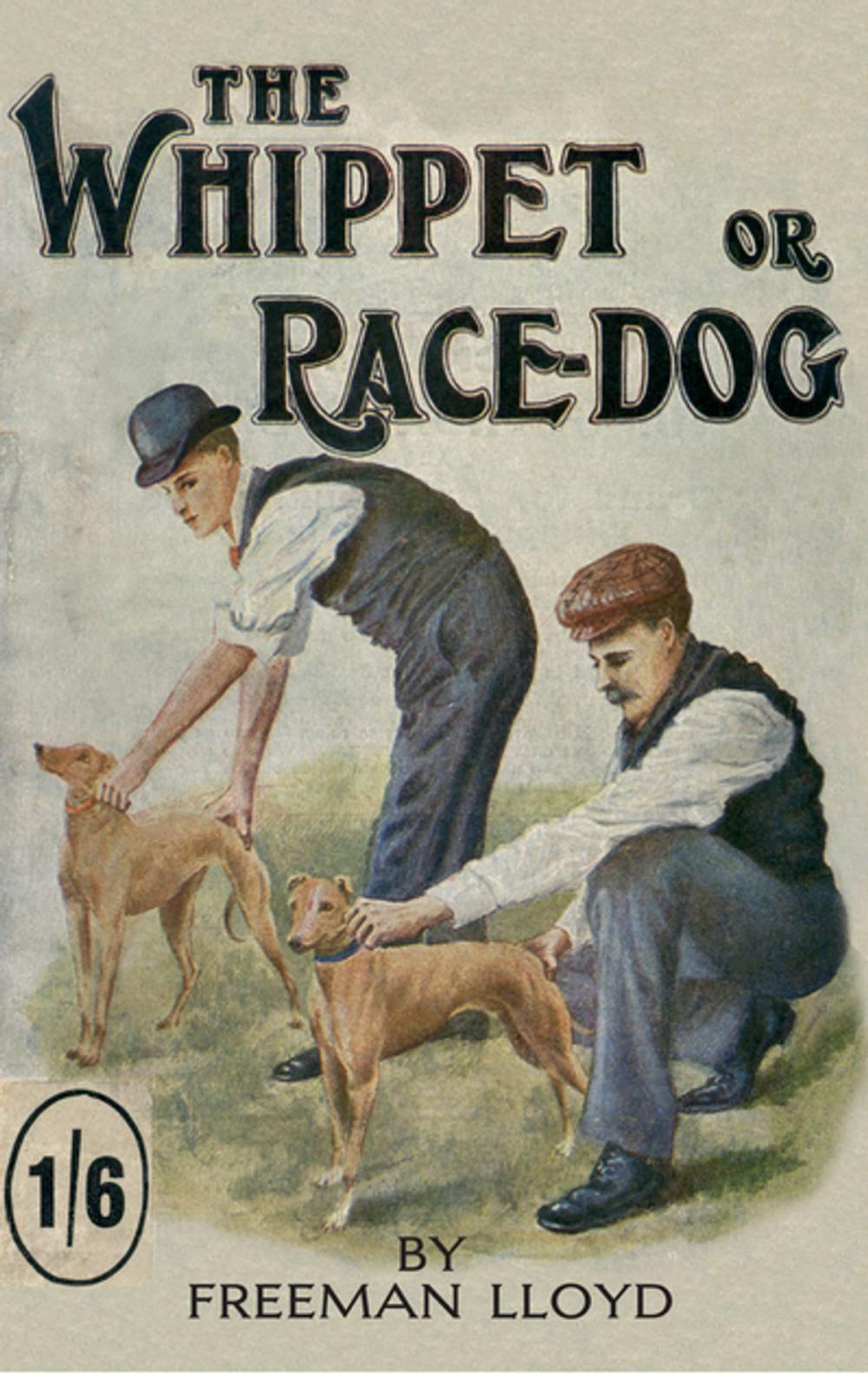 Big bigCover of The Whippet or Race Dog: Its Breeding, Rearing, and Training for Races and for Exhibition. (With Illustrations of Typical Dogs and Diagrams of Tracks)