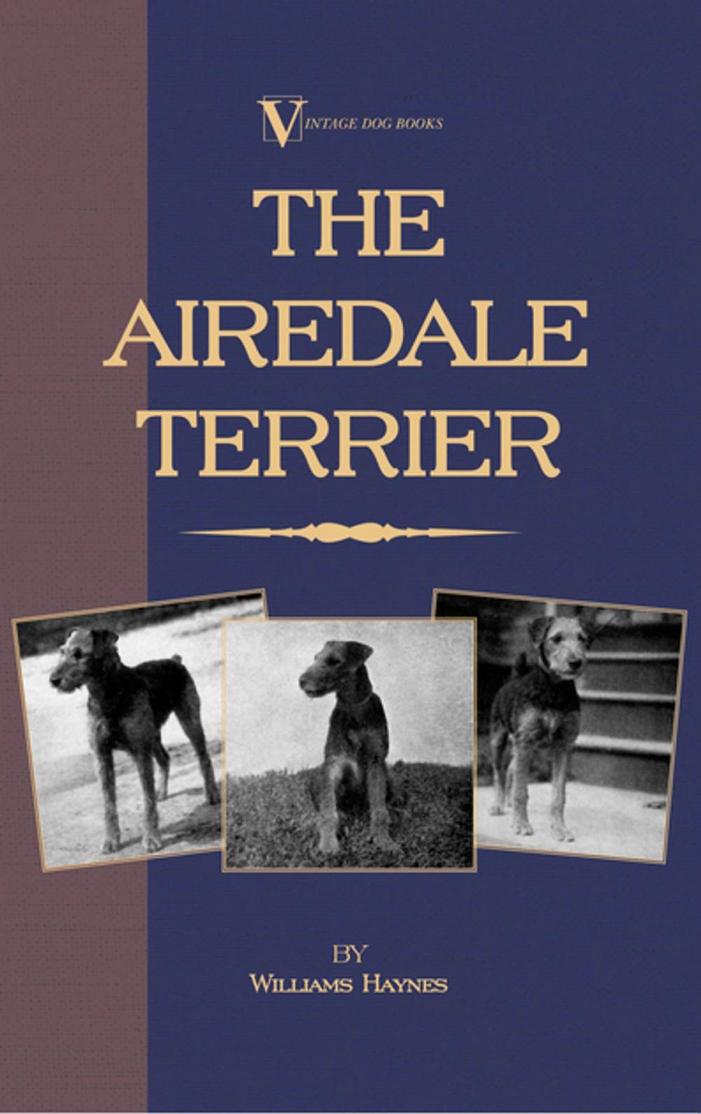 Big bigCover of The Airedale Terrier