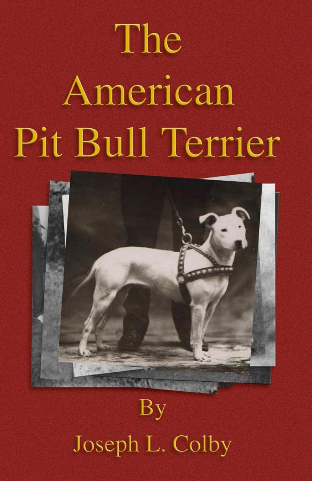 Big bigCover of The American Pit Bull Terrier (History of Fighting Dogs Series)