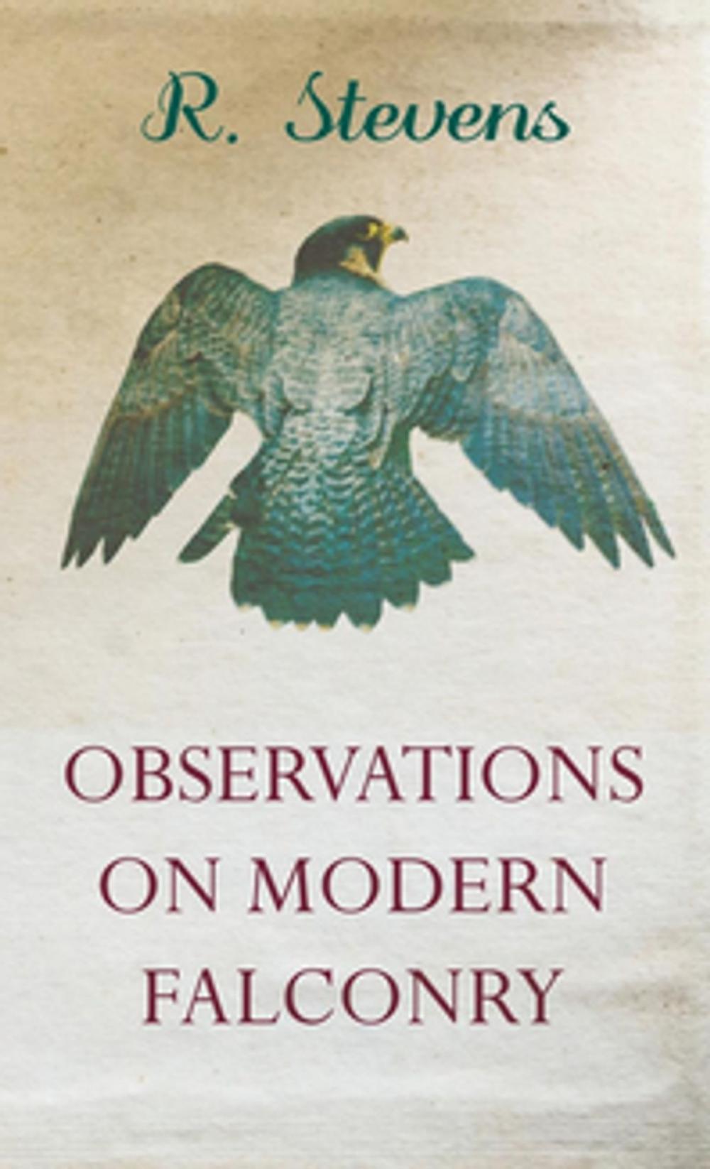 Big bigCover of Observations on Modern Falconry