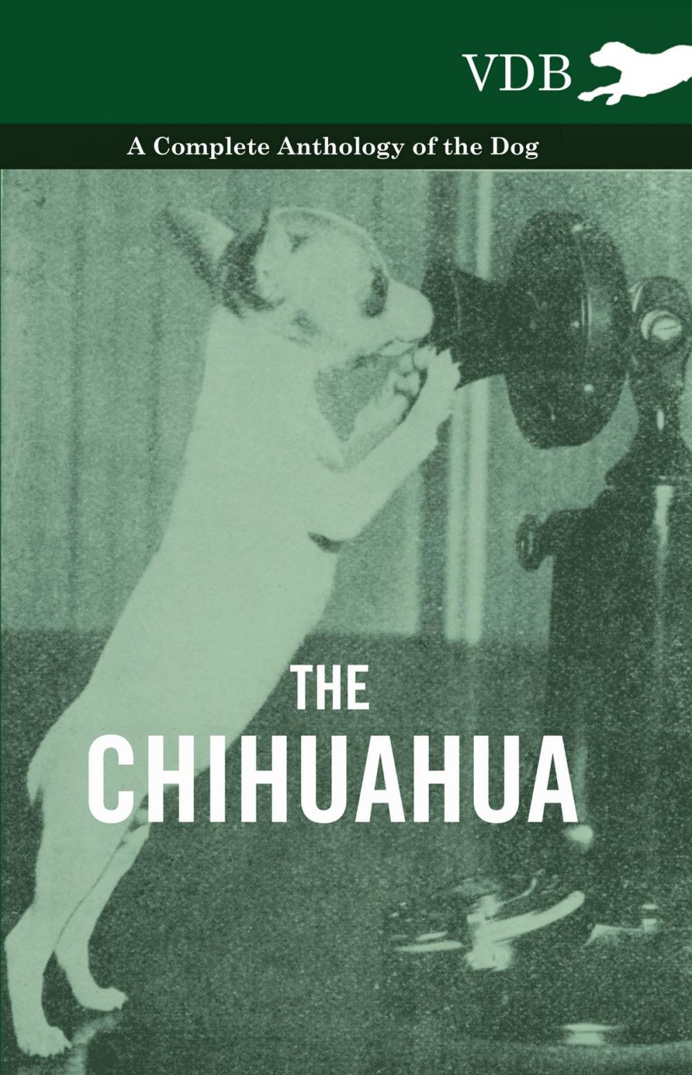 Big bigCover of The Chihuahua - A Complete Anthology of the Dog -