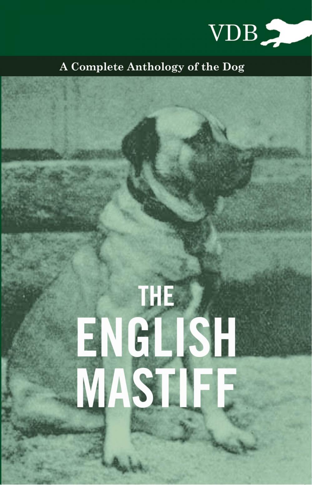 Big bigCover of The English Mastiff - A Complete Anthology of the Dog