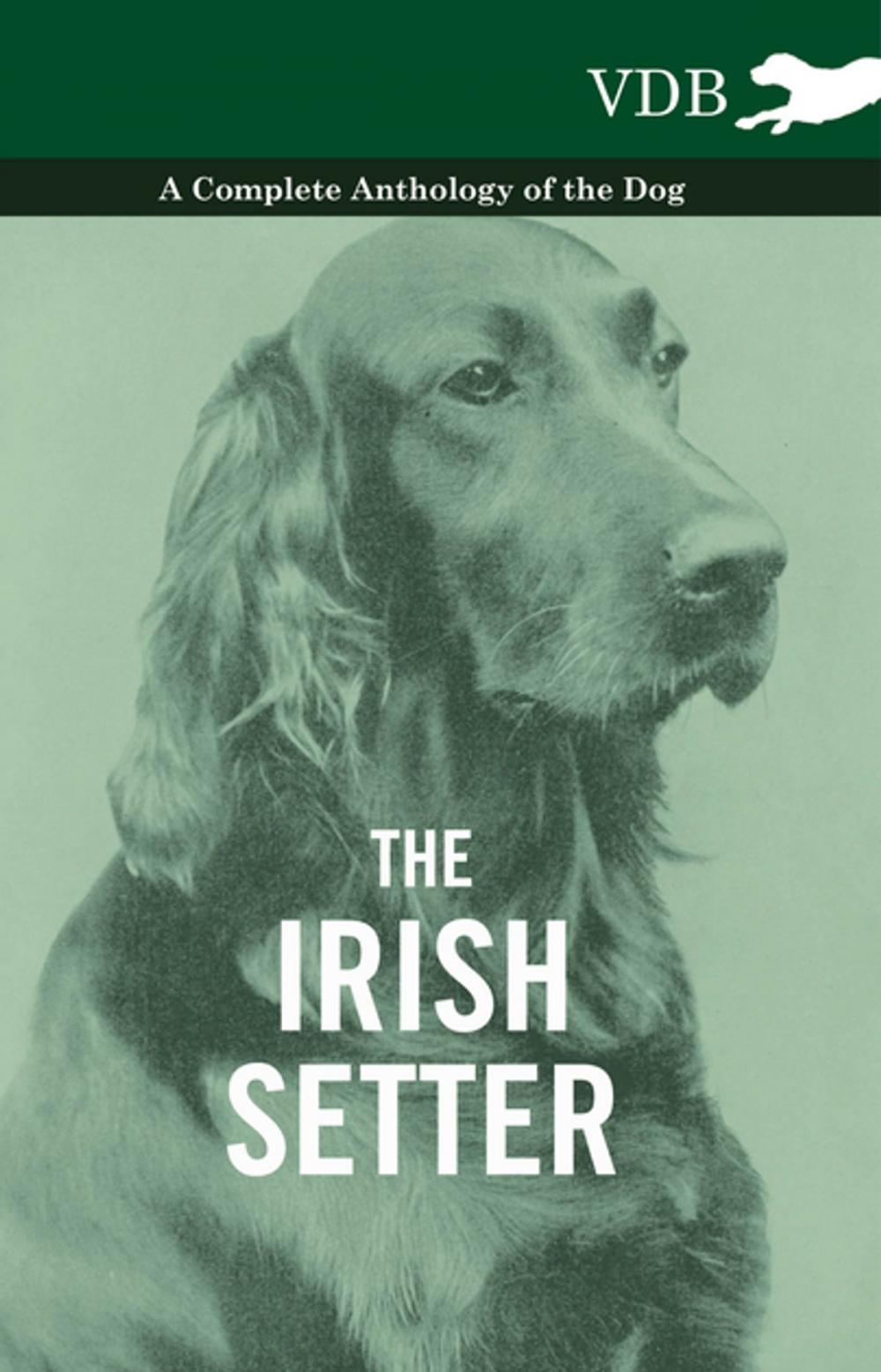 Big bigCover of The Irish Setter - A Complete Anthology of the Dog