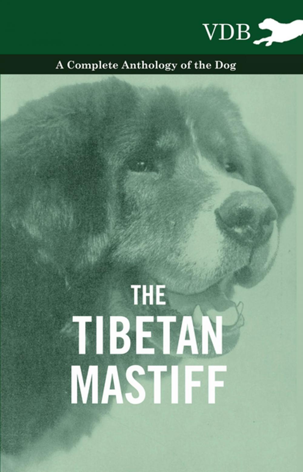 Big bigCover of The Tibetan Mastiff - A Complete Anthology of the Dog