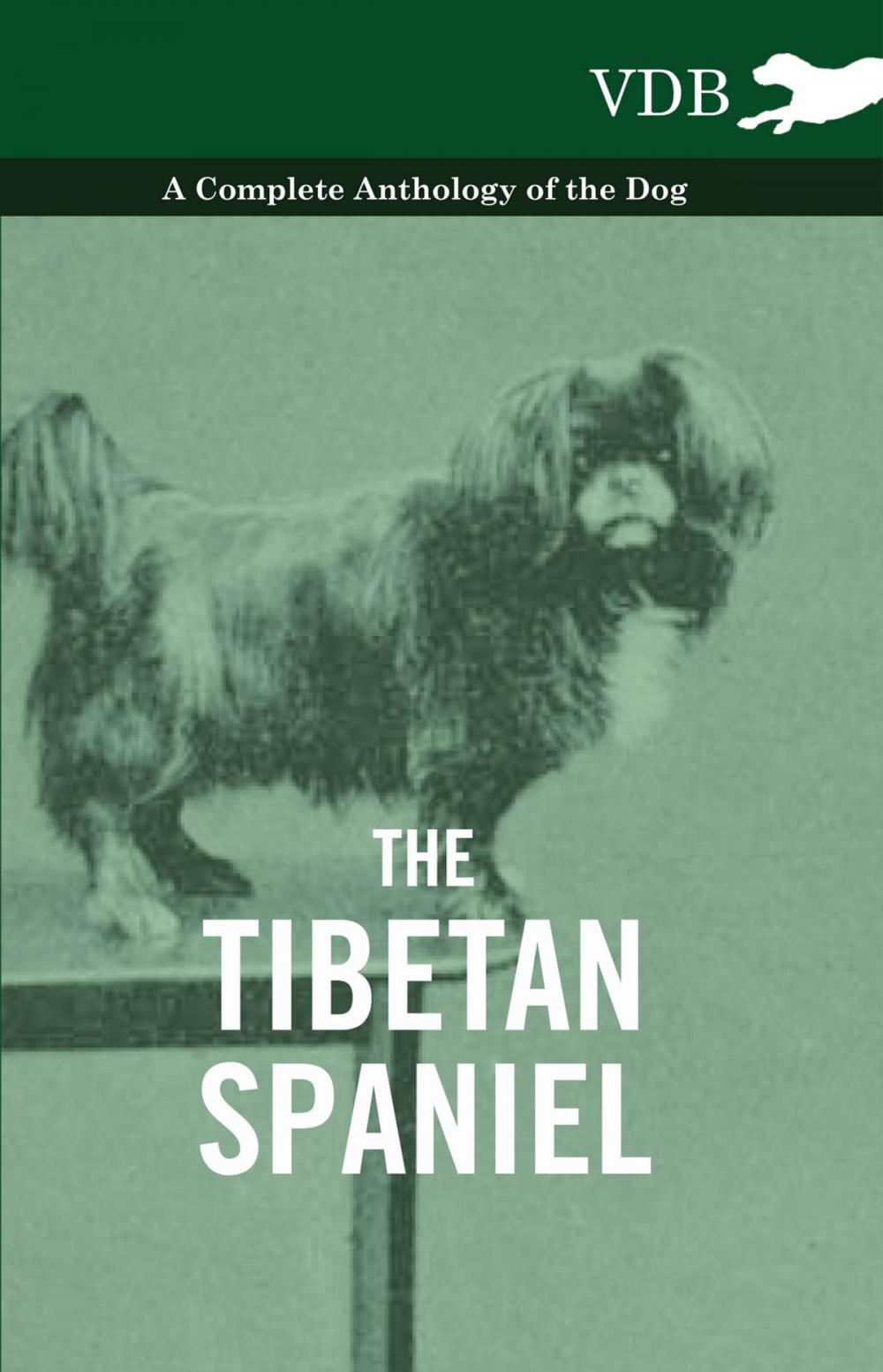 Big bigCover of The Tibetan Spaniel - A Complete Anthology of the Dog