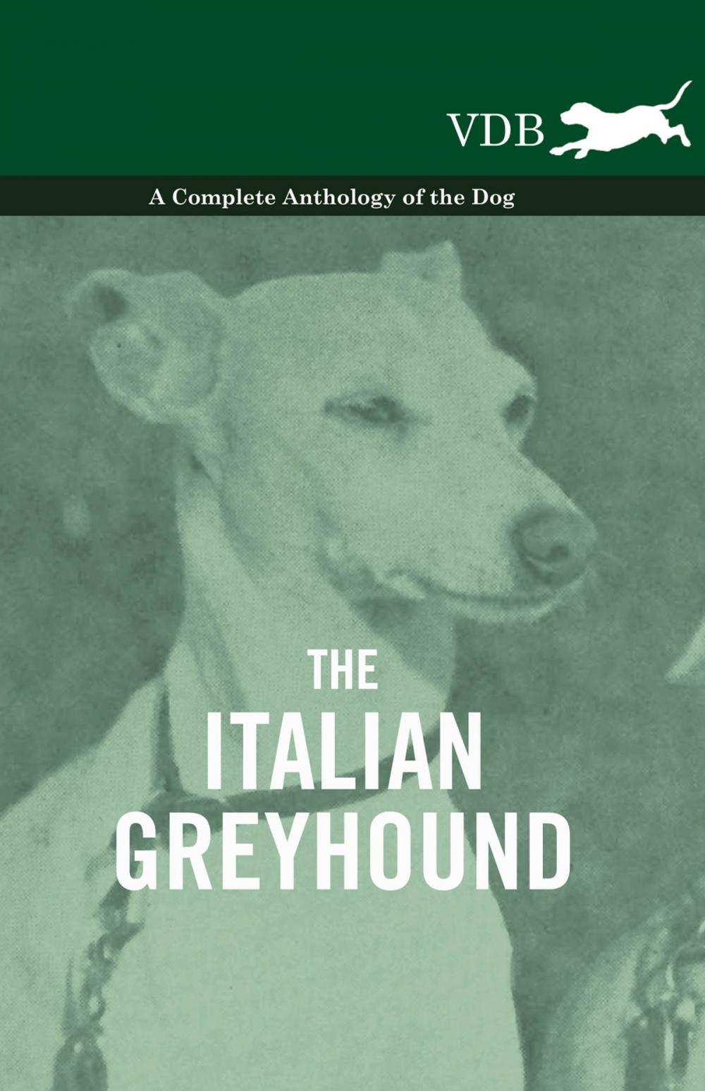 Big bigCover of The Italian Greyhound - A Complete Anthology of the Dog