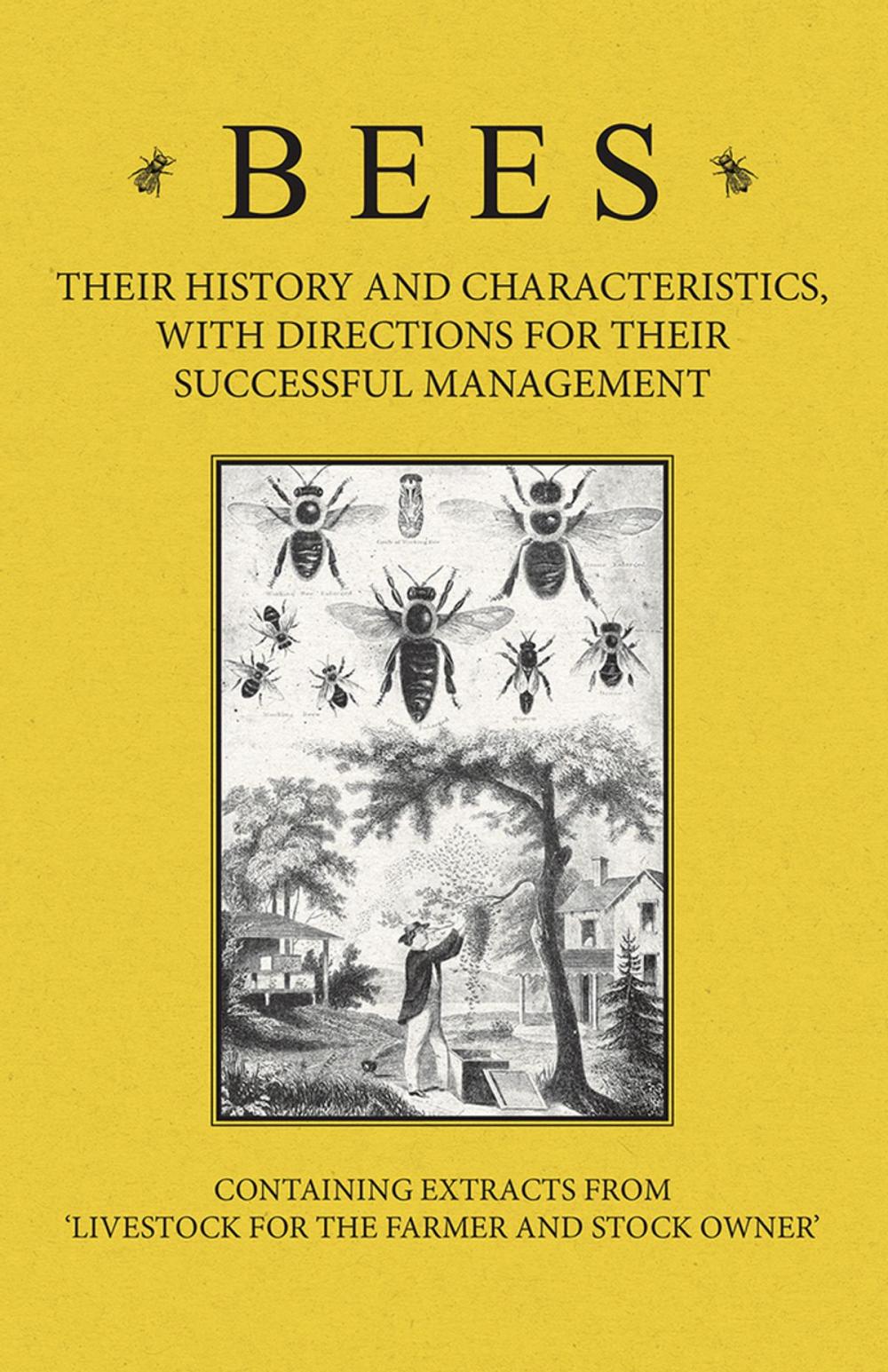 Big bigCover of Bees - Their History and Characteristics, With Directions for Their Successful Management - Containing Extracts from Livestock for the Farmer and Stock Owner