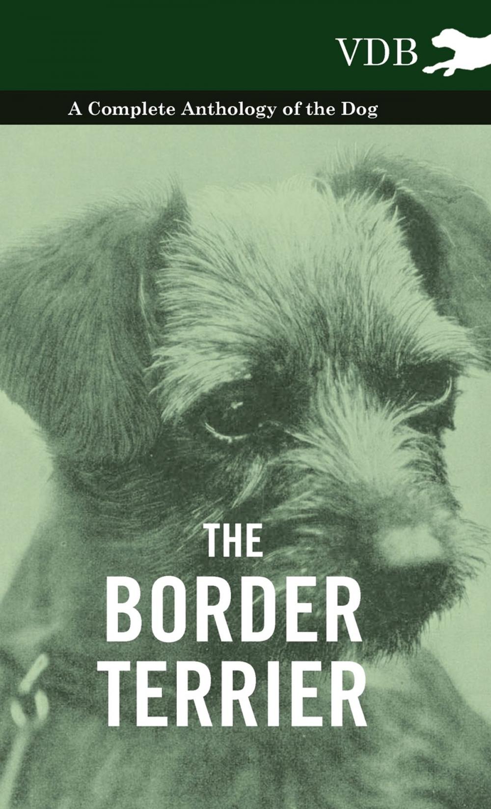 Big bigCover of The Border Terrier - A Complete Anthology of the Dog -