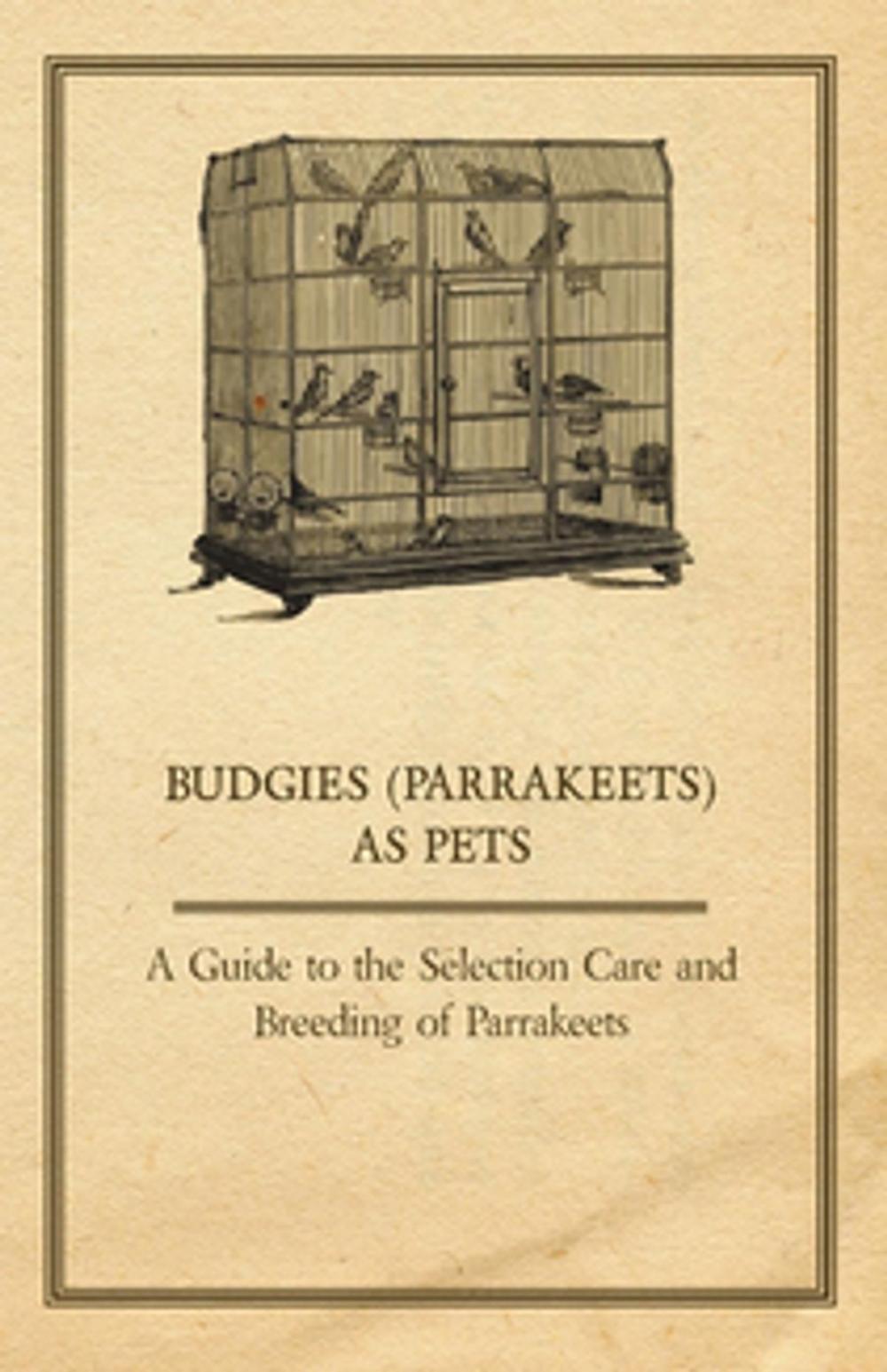 Big bigCover of Budgies (Parrakeets) as Pets - A Guide to the Selection Care and Breeding of Parrakeets